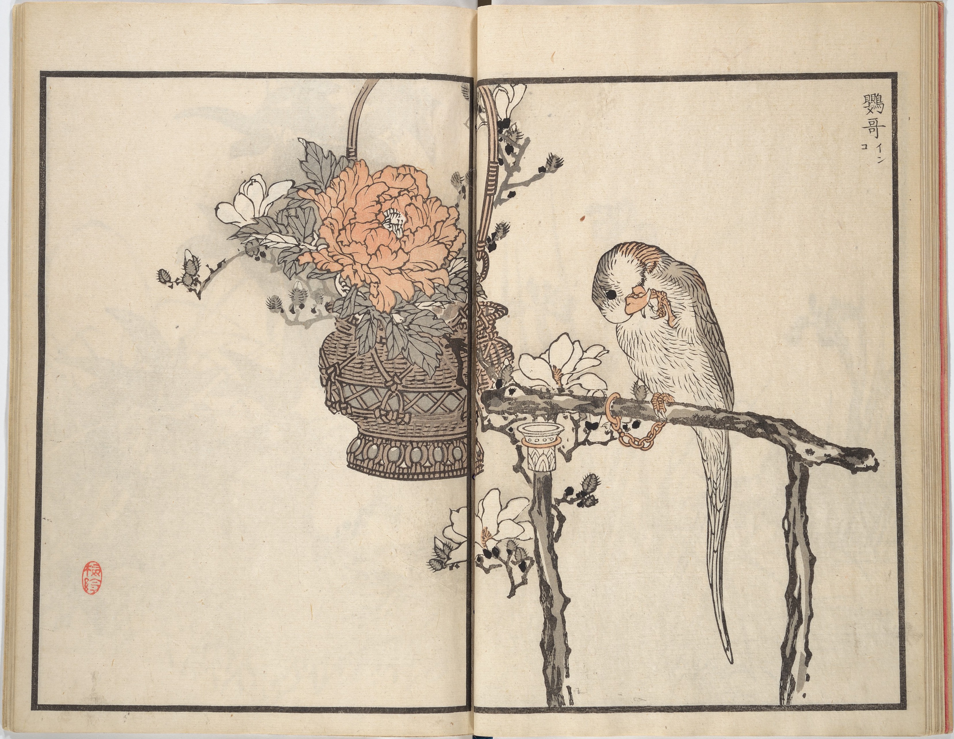 Kōno Bairei 幸野楳嶺   Bairei Picture Album of One Hundred Birds