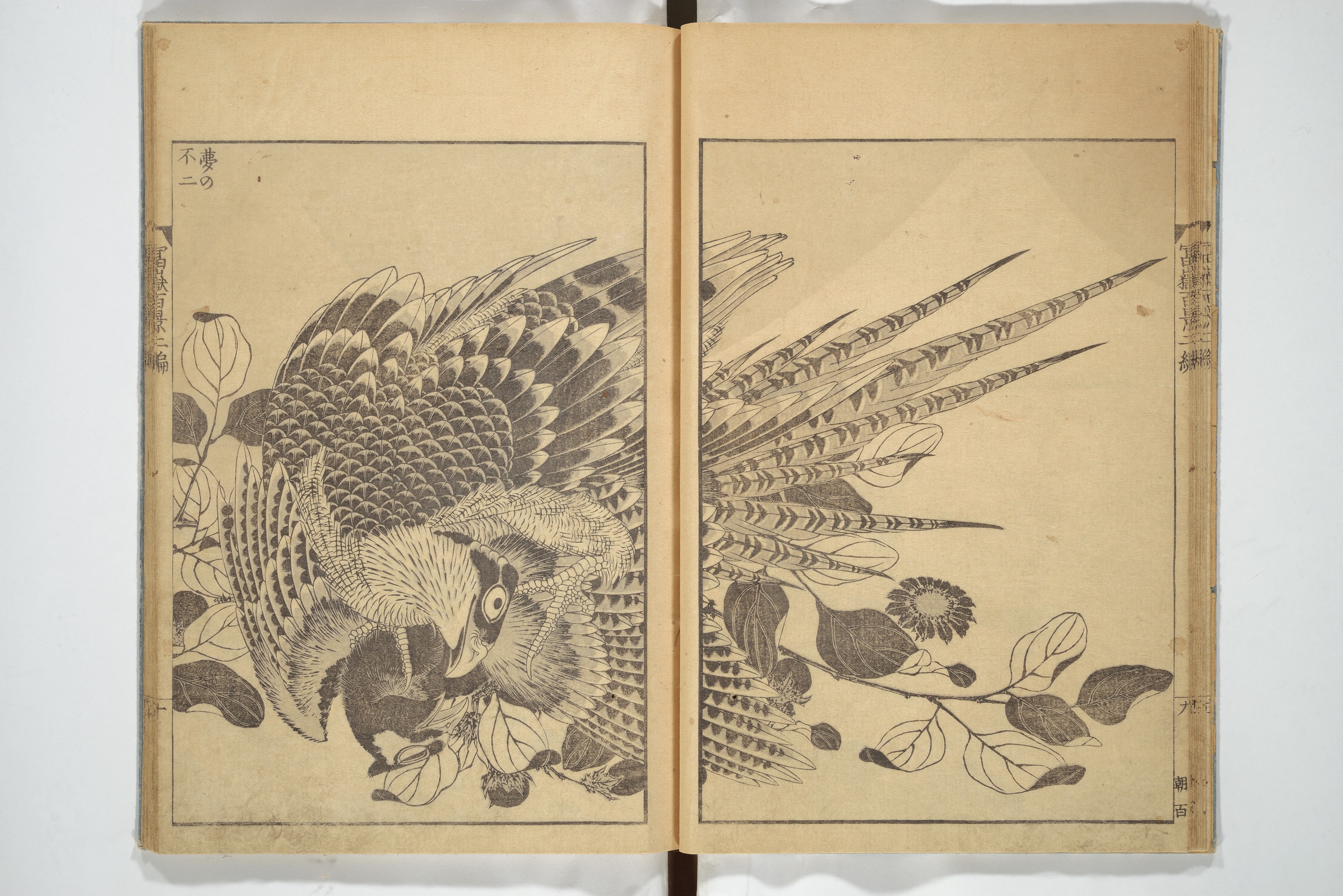 The Met Puts 650+ Japanese Illustrated Books Online: Marvel at Hokusai's  One Hundred Views of Mount Fuji and More