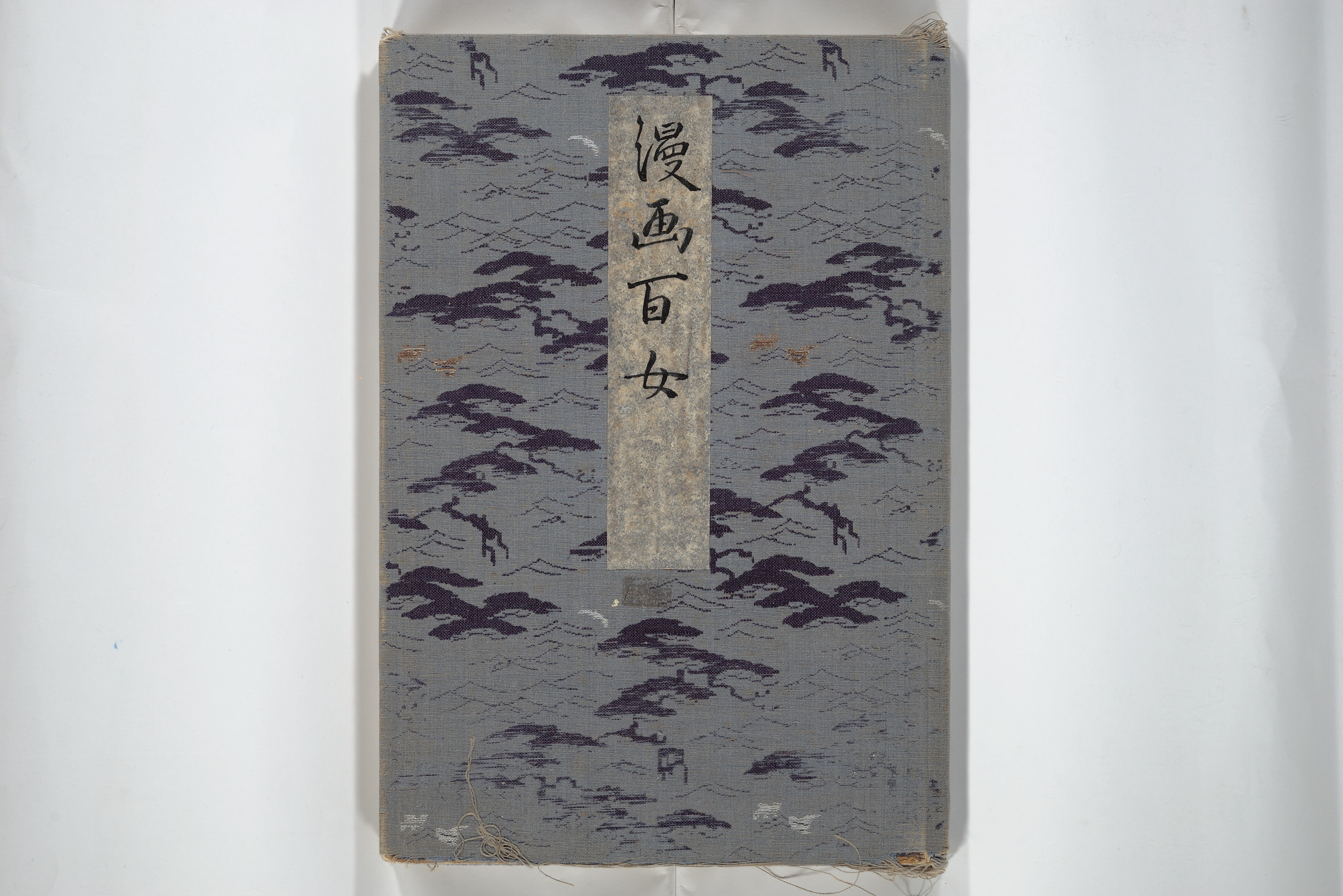 Sketchbook of One Hundred Women 1814 Aikawa Minwa Japanese