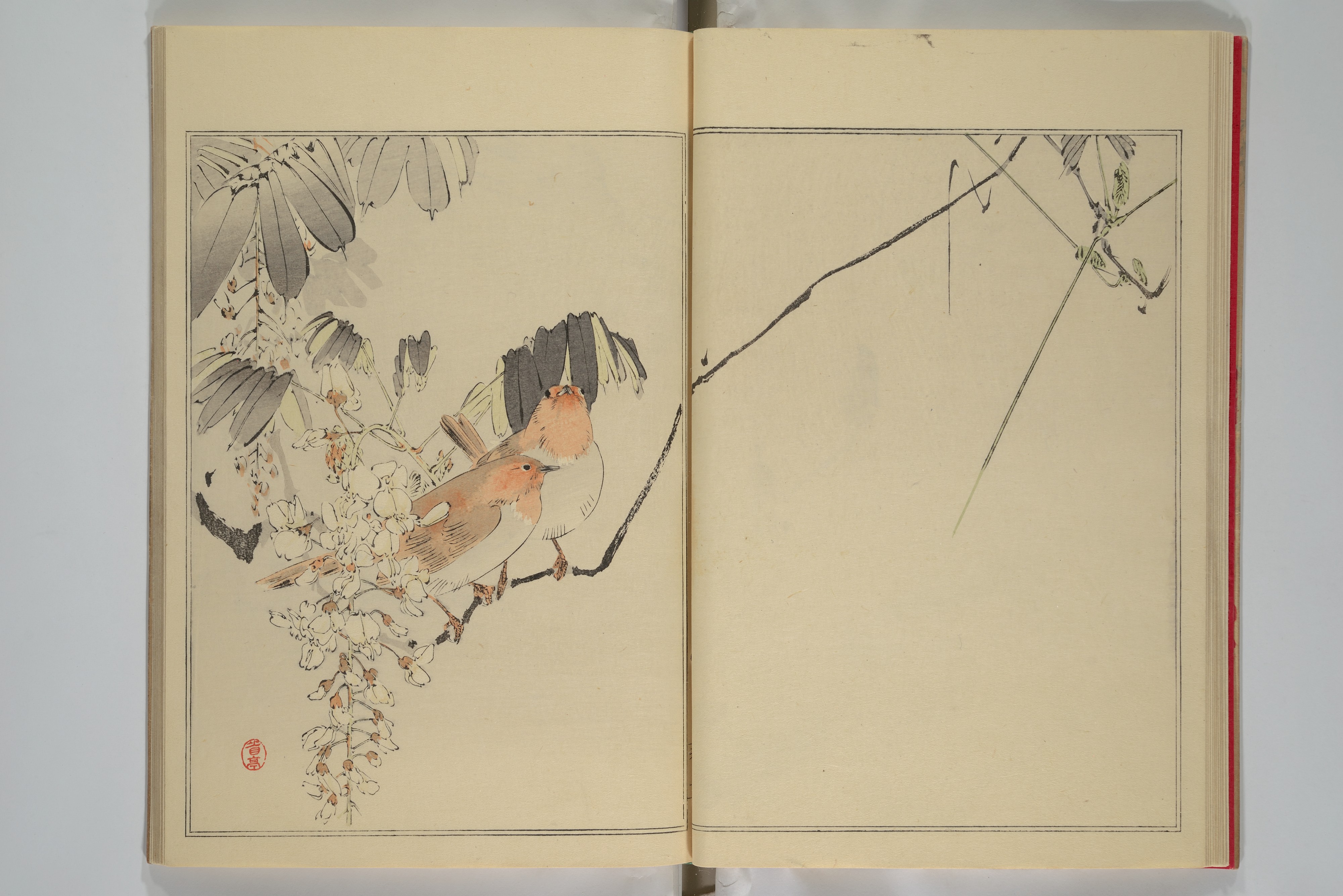 Watanabe Seitei | Picture Album of Birds and Flowers | Japan | Meiji ...