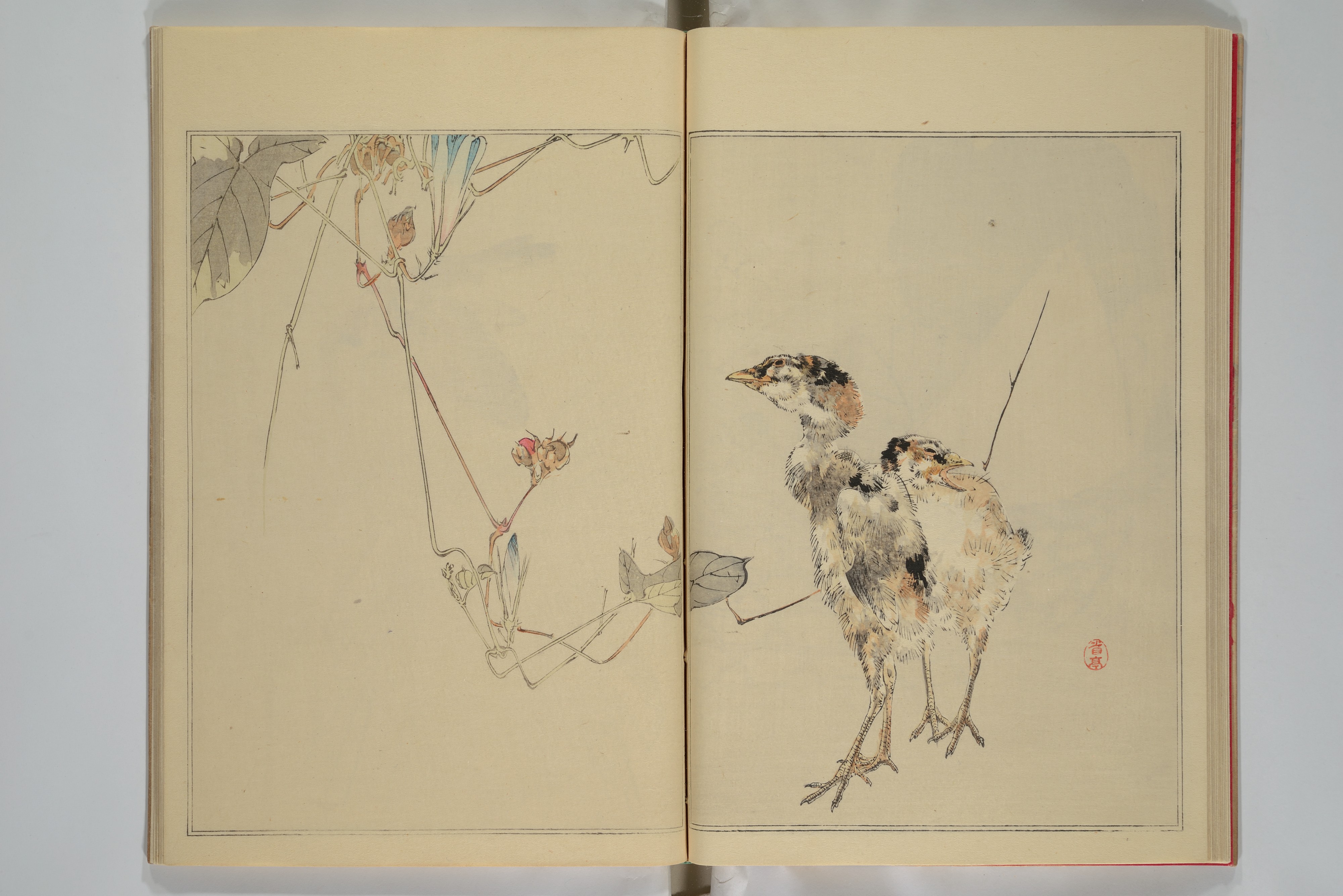 Watanabe Seitei | Picture Album of Birds and Flowers | Japan | Meiji ...