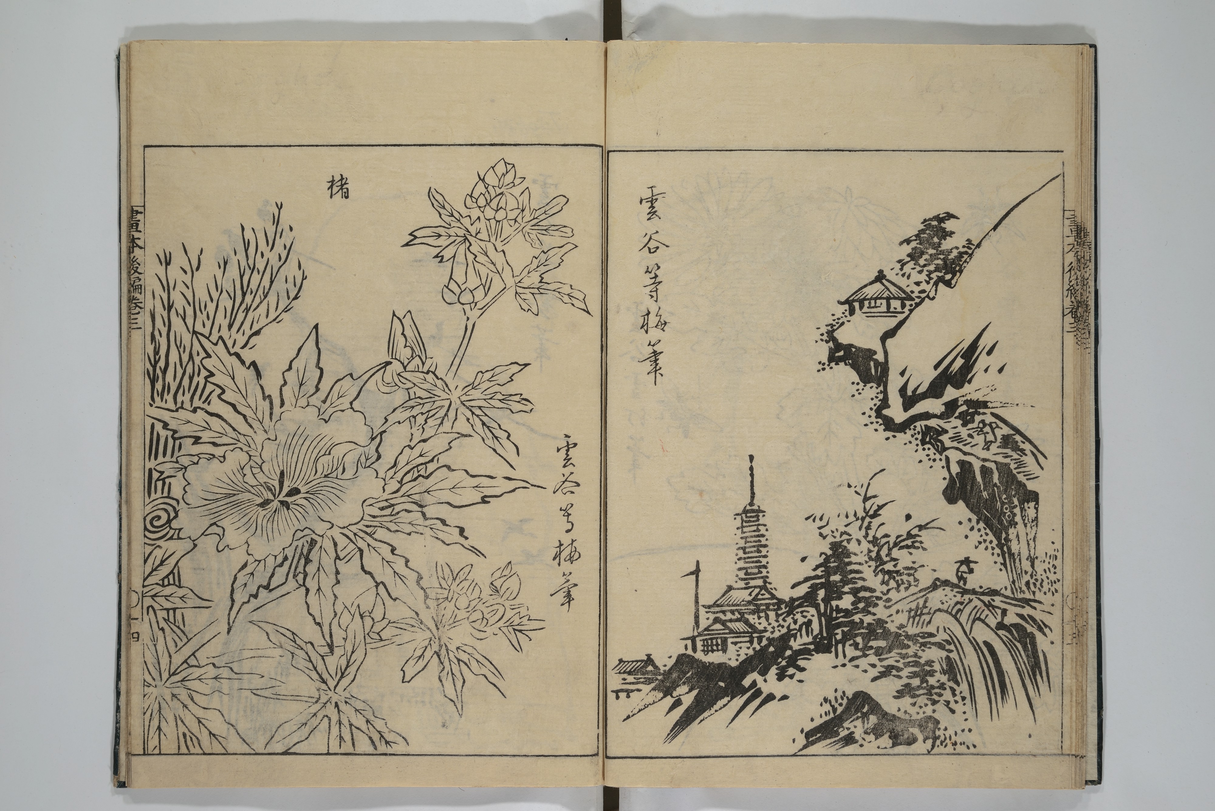 Ooka Shunboku 大岡春卜 | A Garden of Celebrated Japanese and 