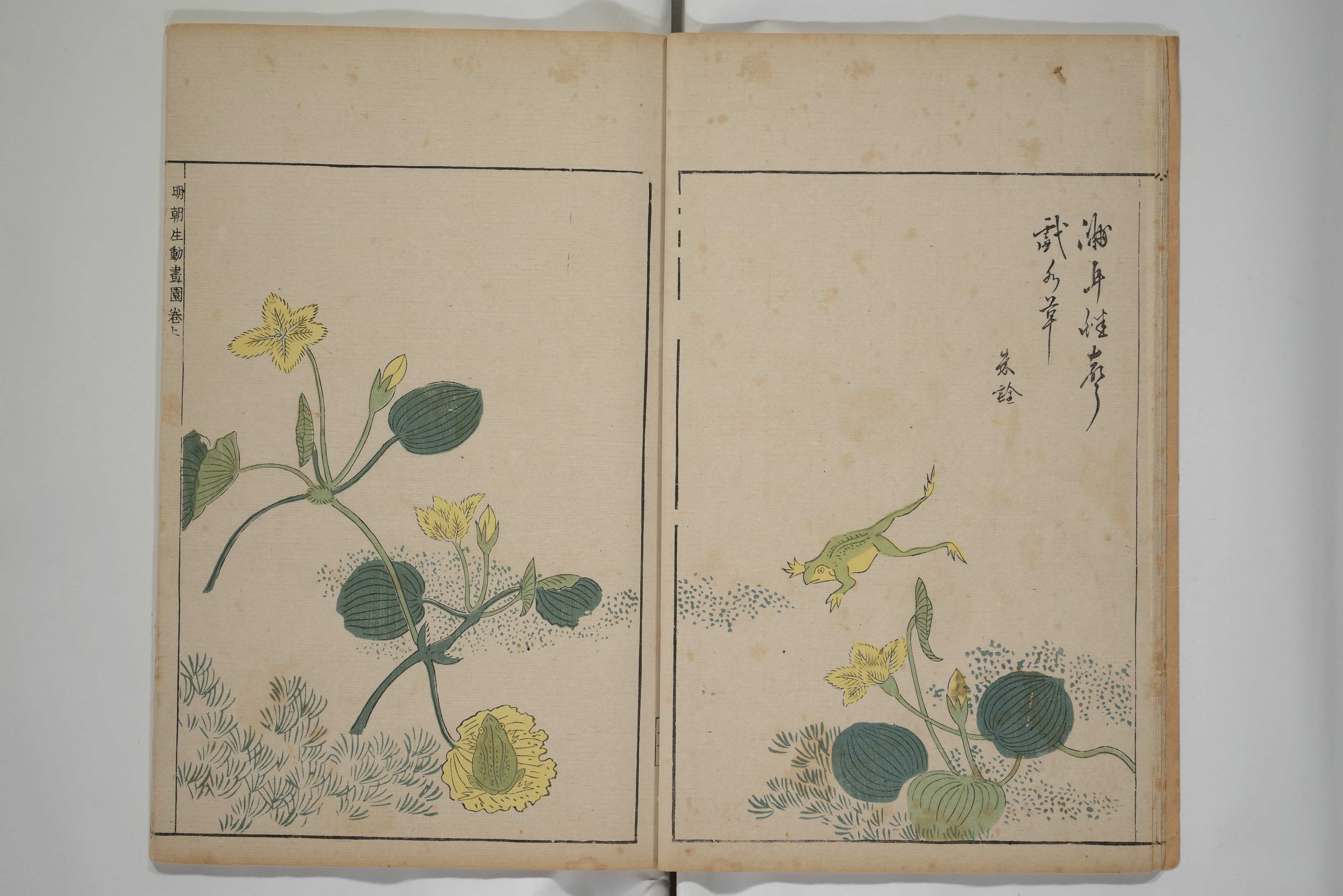 Ooka Shunboku 大岡春卜 | A Collection of Lively Sketches [Of Flowers and ...