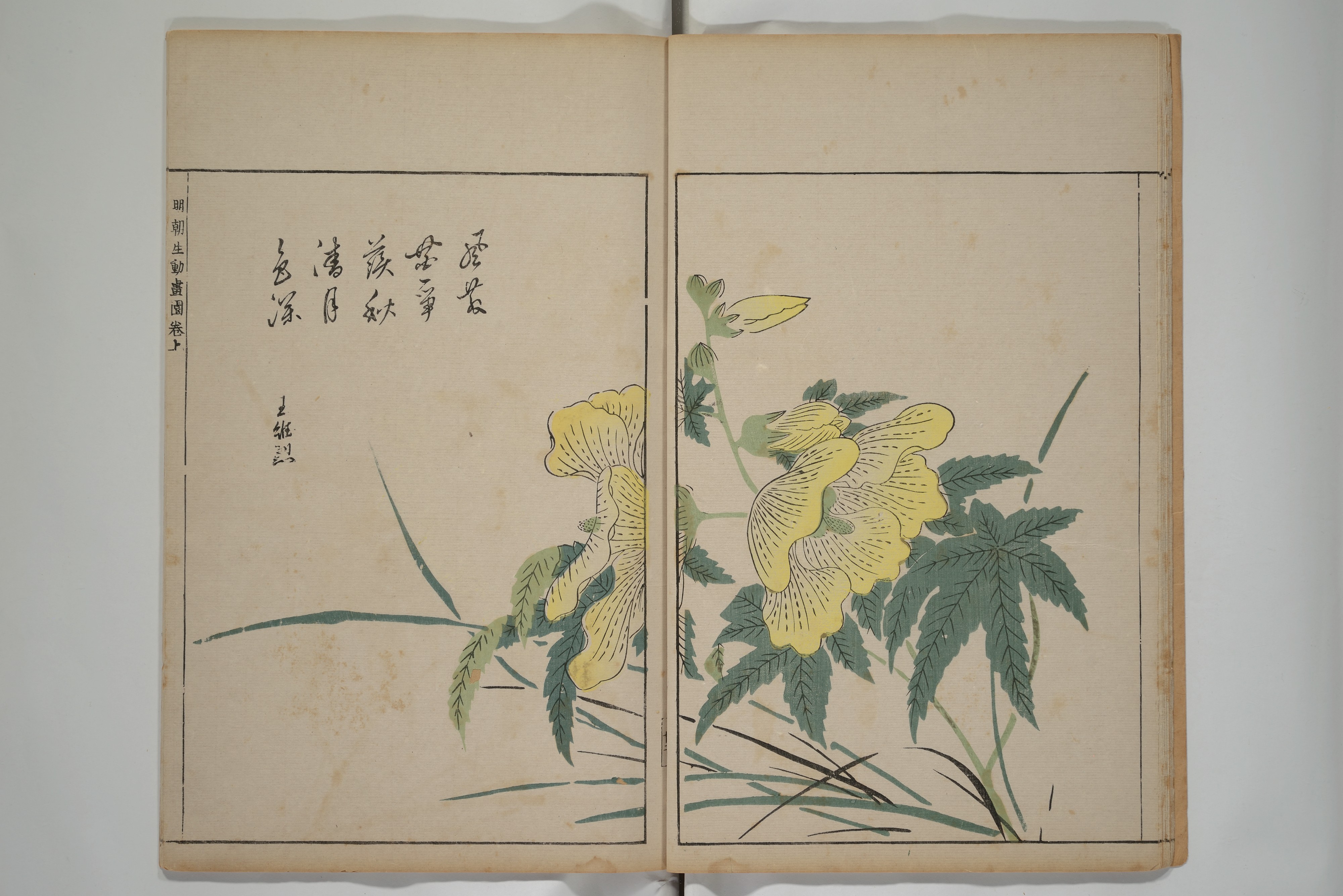 Ooka Shunboku 大岡春卜 | A Collection of Lively Sketches [Of Flowers and ...