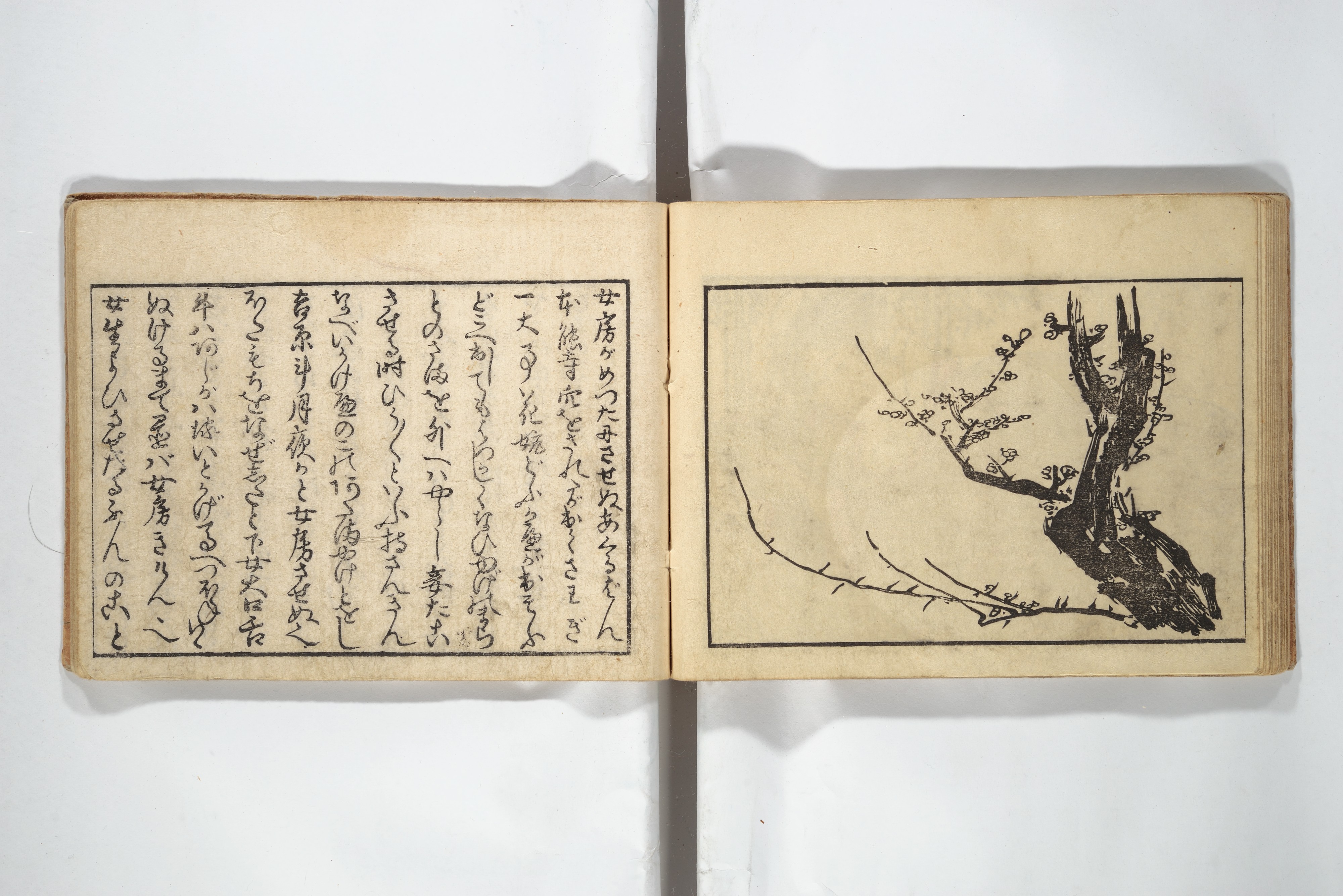 Attributed to Utagawa Toyokuni I 歌川豊国一世 | Untitled Book of 