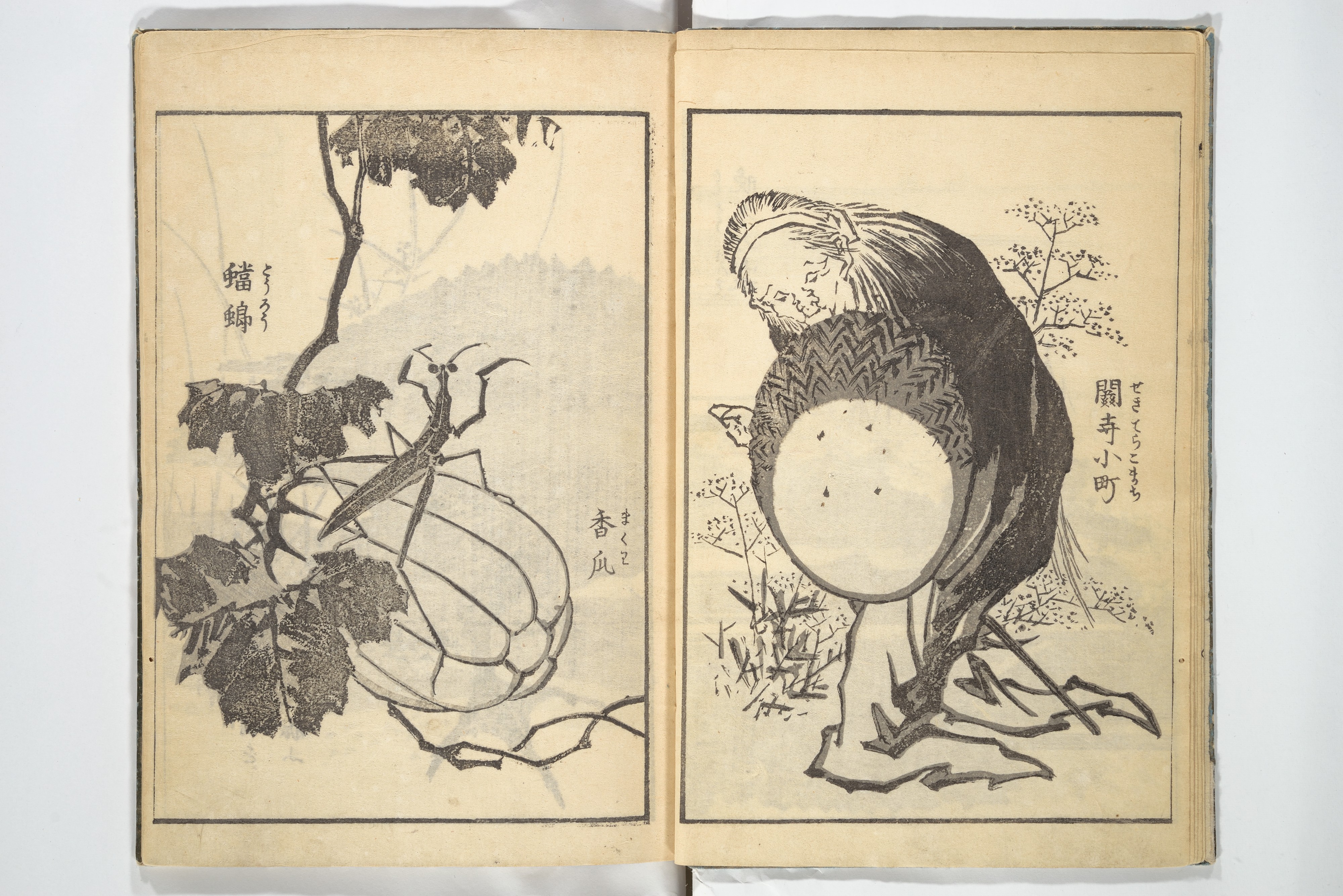Katsushika Hokusai 葛飾北斎 | Old Manji's Cursive Picture Album 