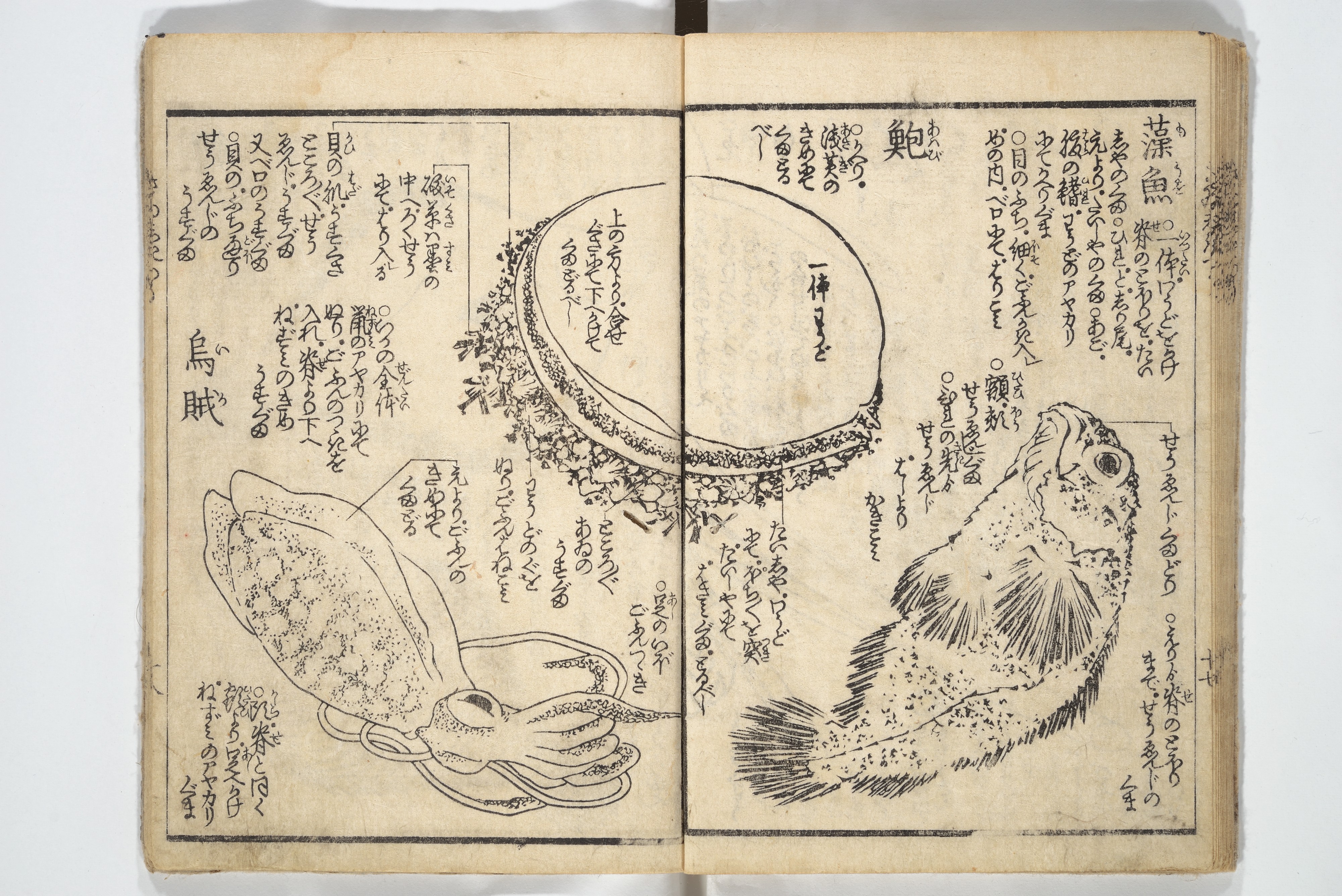 Katsushika Hokusai 葛飾北斎 | Picture Book on the Use of Coloring 