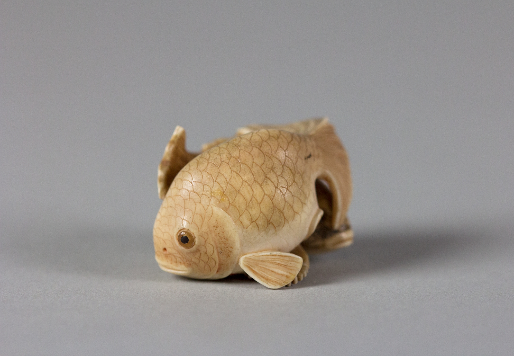Two Fish | Japan | Edo (1615\u20131868) or Meiji period (1868\u20131912) | The Metropolitan Museum of Art