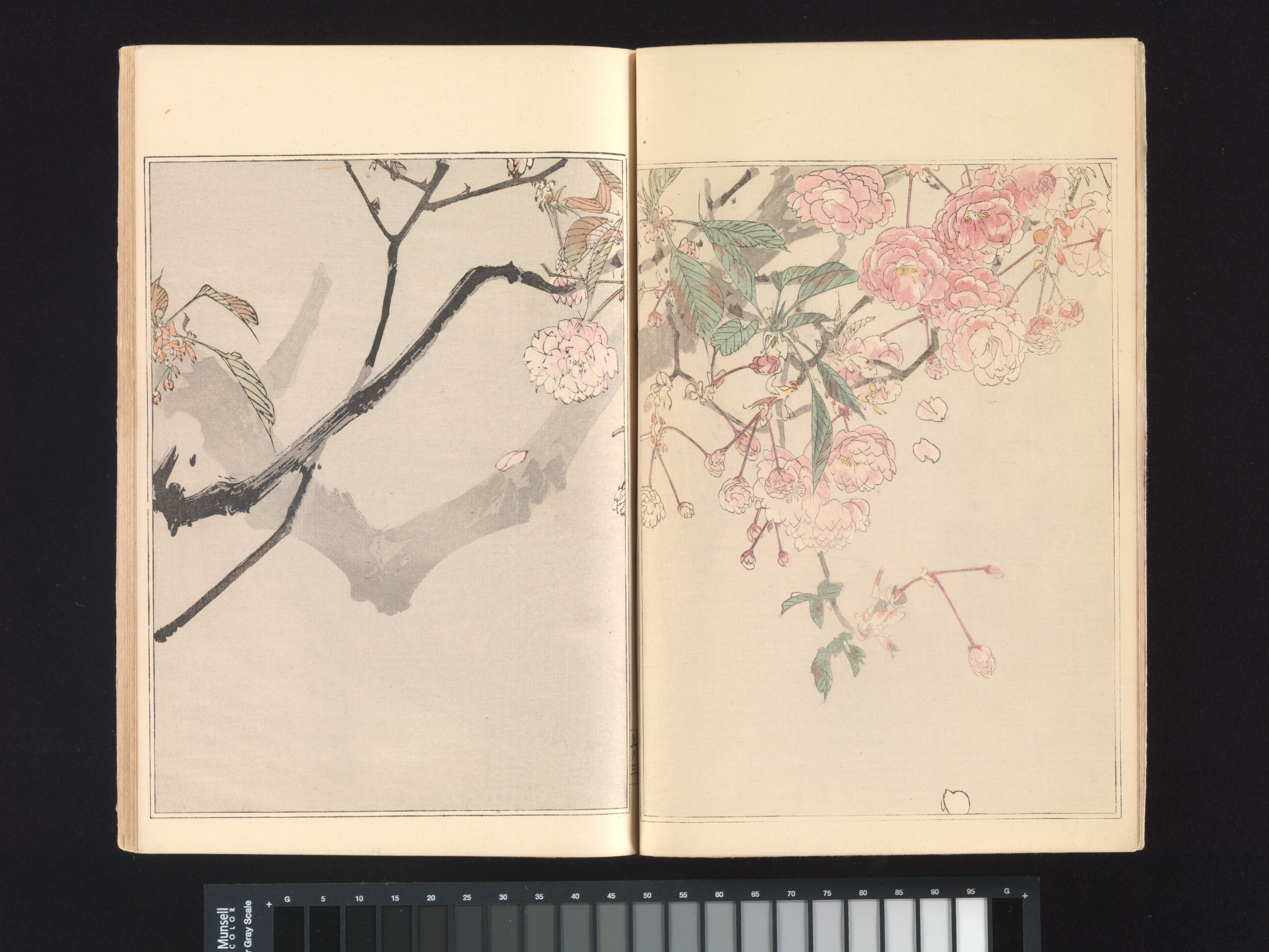 Watanabe Seitei | Seitei's Birds and Flowers Painting Manual 