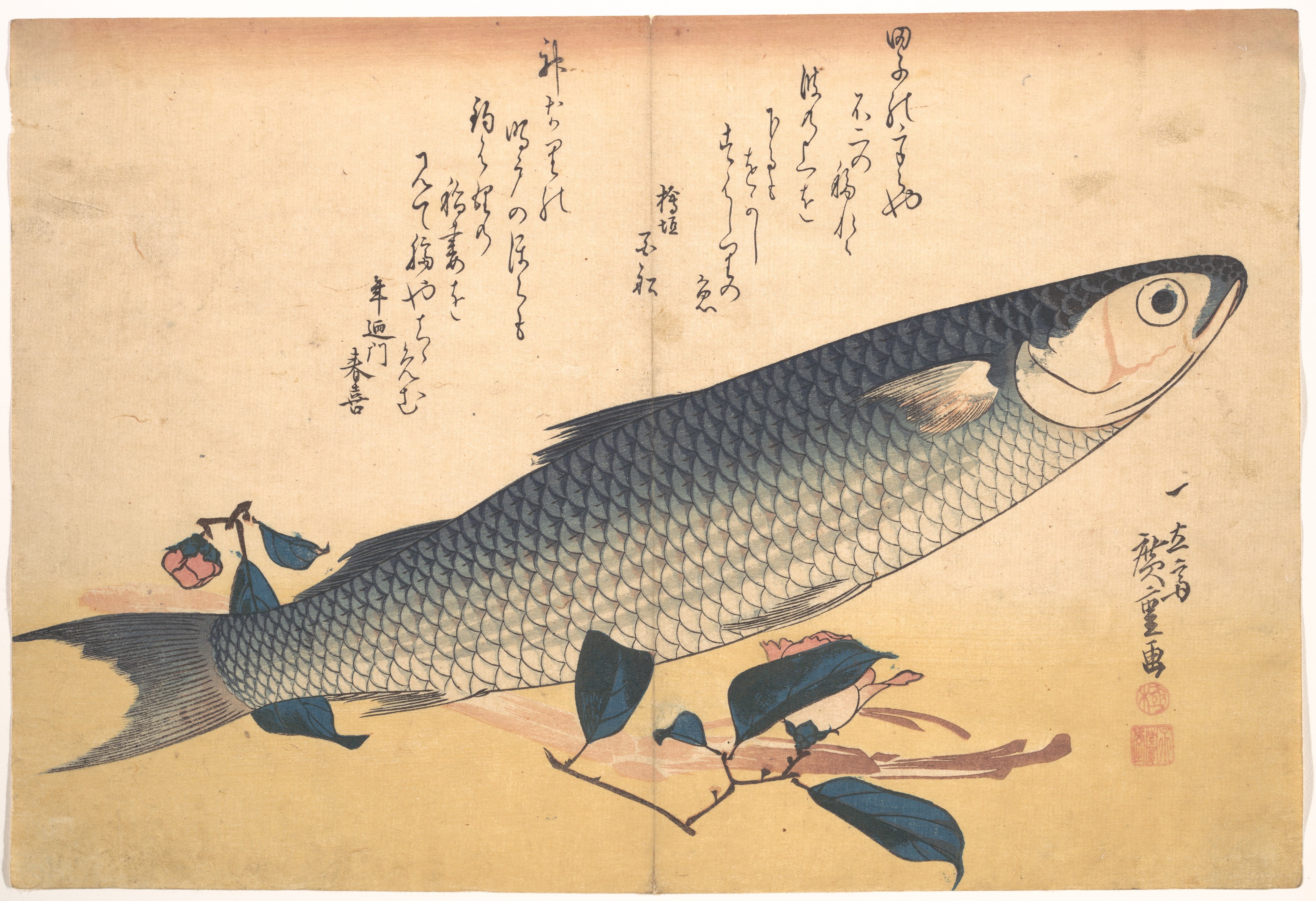 Utagawa Hiroshige | Bora Fish with Camellia, from the series 