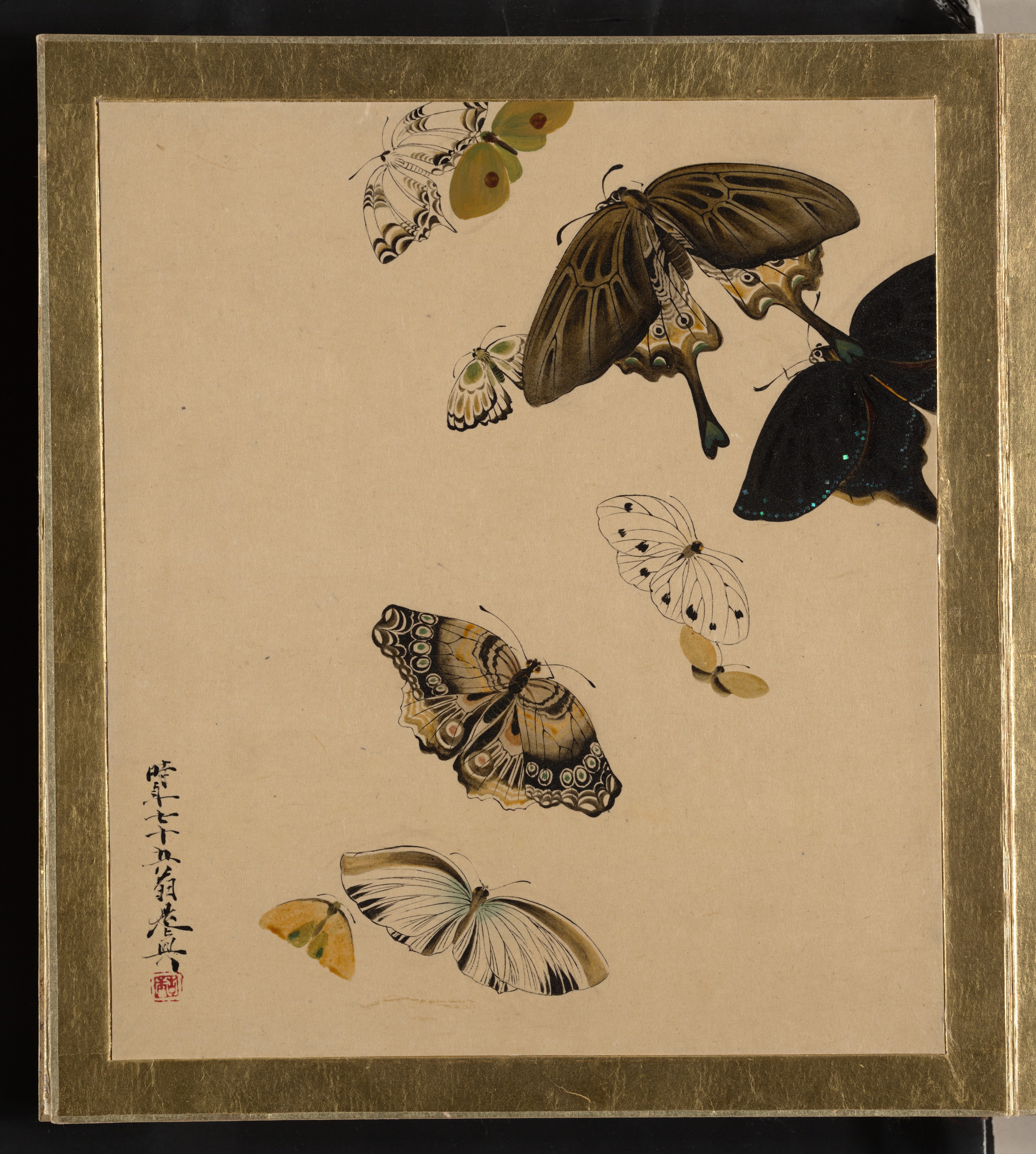 TORAYSEE TORAY Japanese art series P301 Shibata Zeshin Burnet Kikyo 