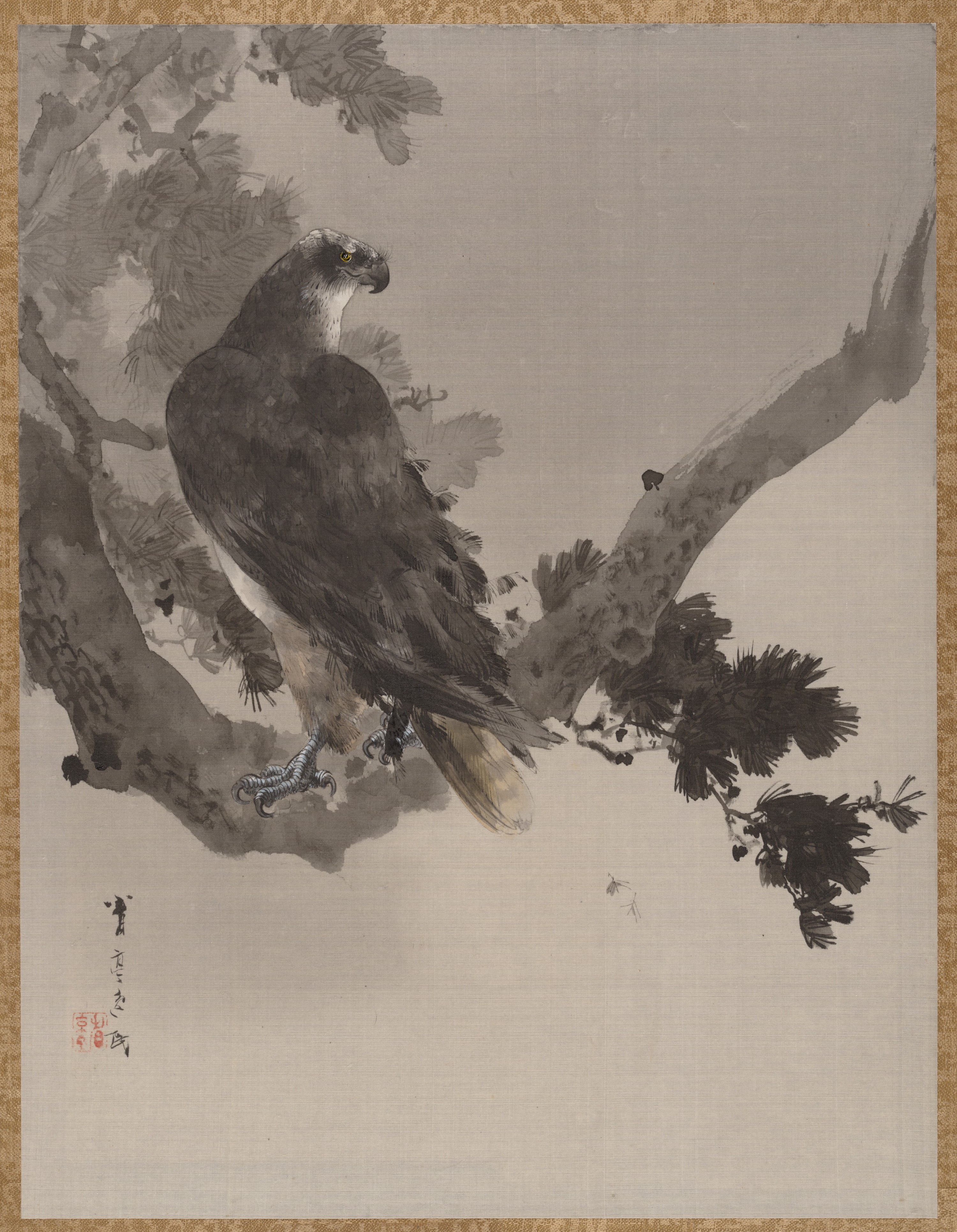 Watanabe Seitei | Eagle in a Tree | Japan | Meiji period (1868–1912 ...