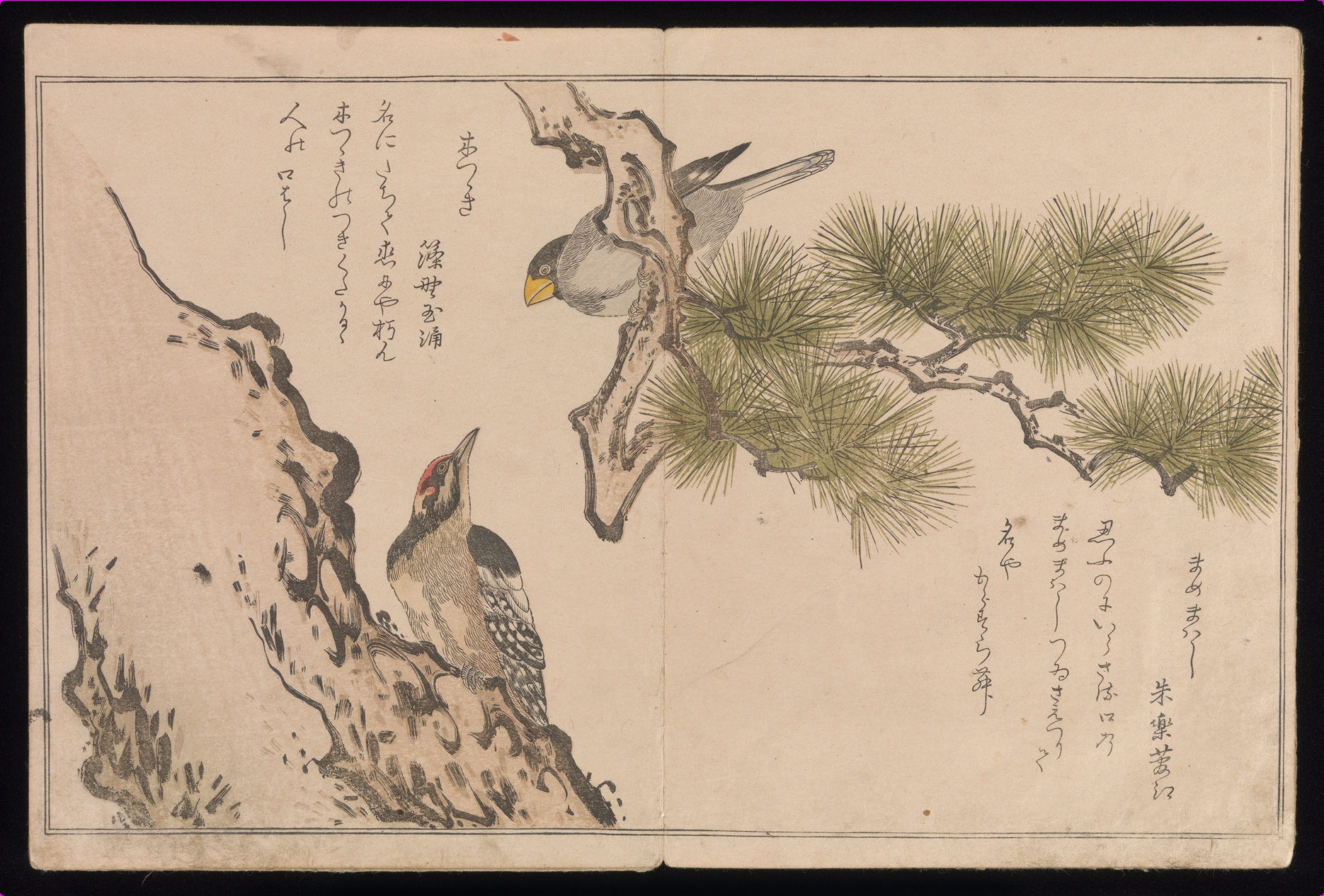 Kitagawa Utamaro | Myriad Birds:A Playful Poetry Contest (Momo 