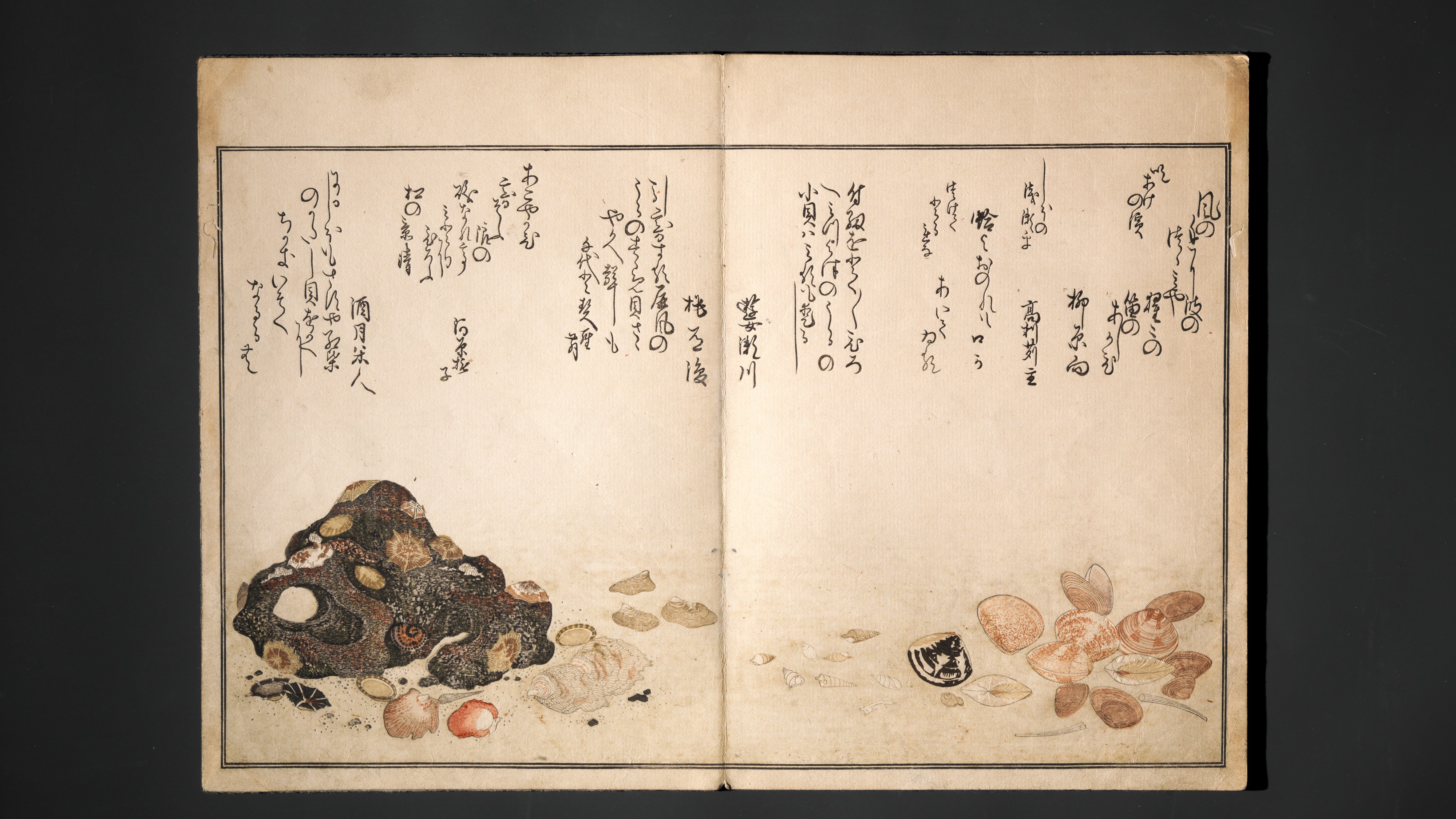 Kitagawa Utamaro 喜多川歌麿 | Gifts of the Ebb Tide (The Shell