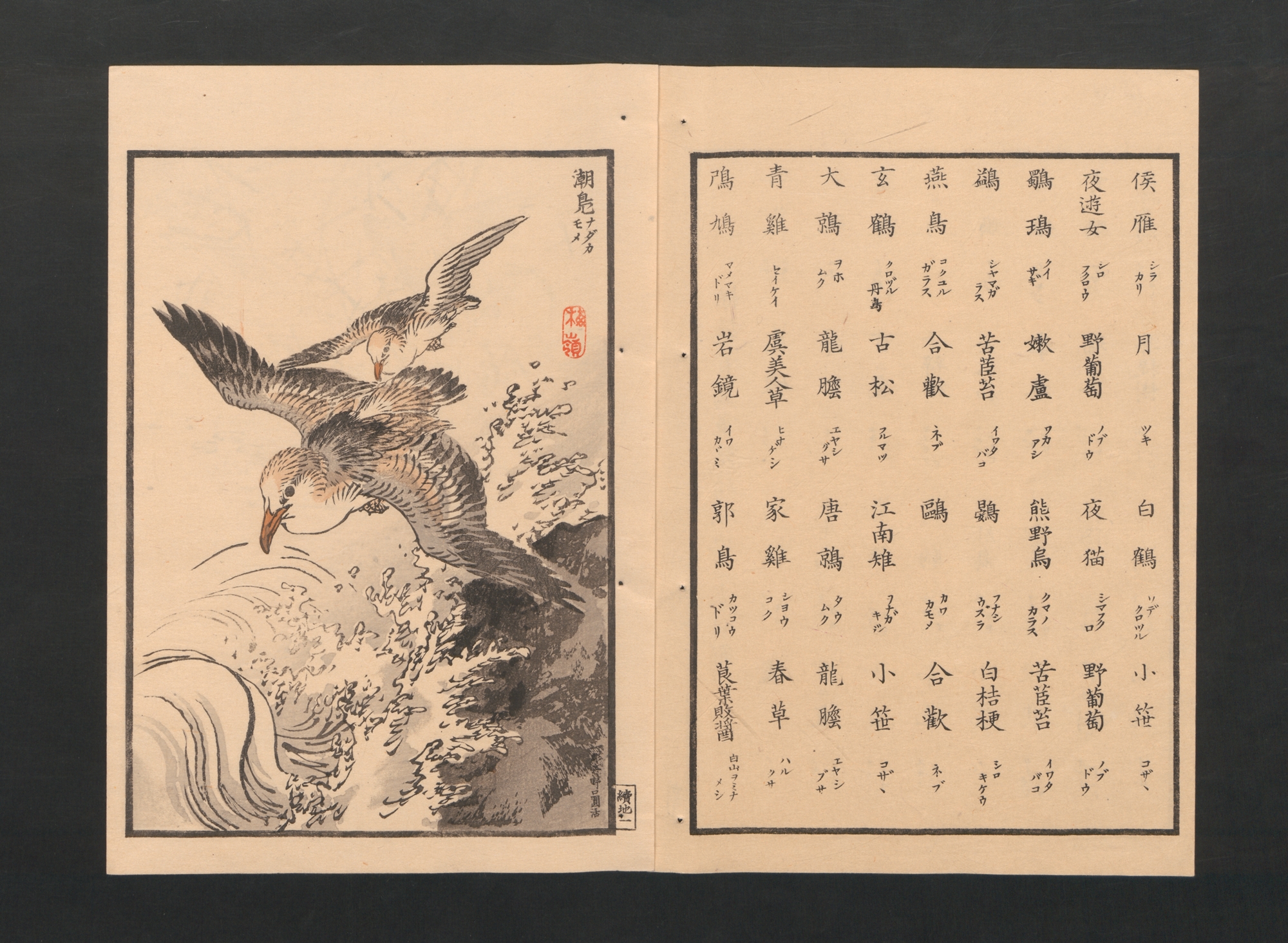 Kōno Bairei 幸野楳嶺 | Bairei Picture Album of One Hundred Birds