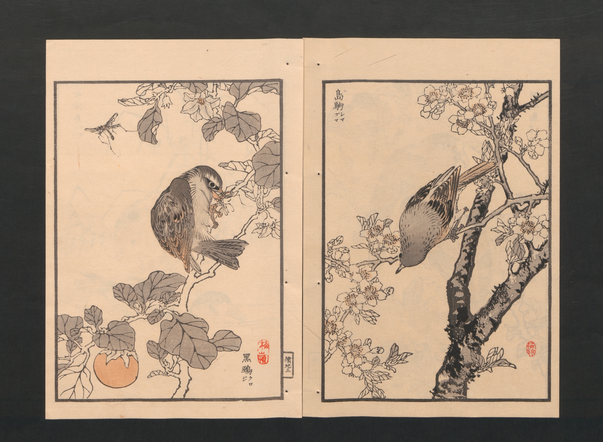 Kōno Bairei 幸野楳嶺 | Bairei Picture Album of One Hundred Birds 