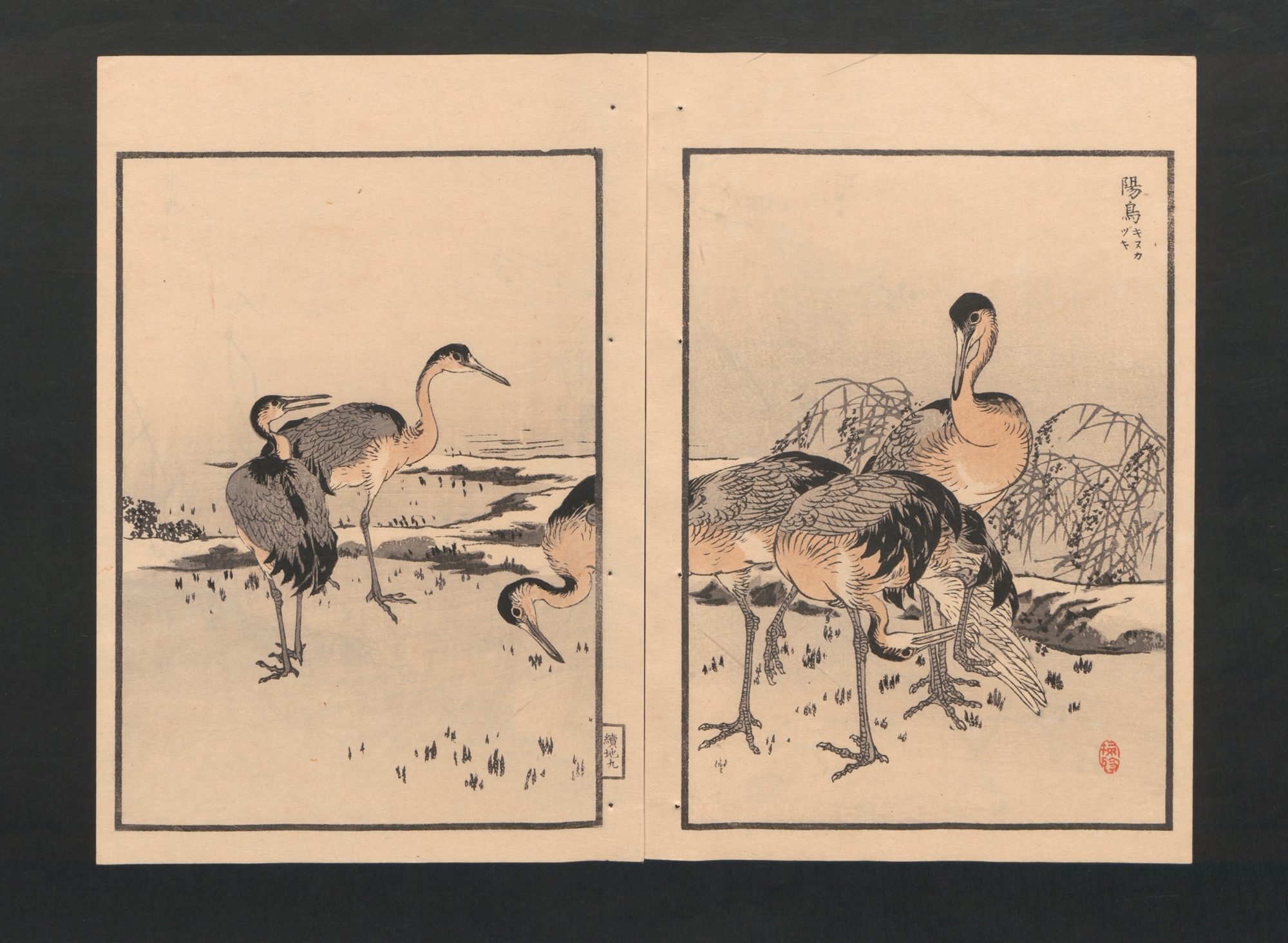 Kōno Bairei 幸野楳嶺 | Bairei Picture Album of One Hundred Birds 