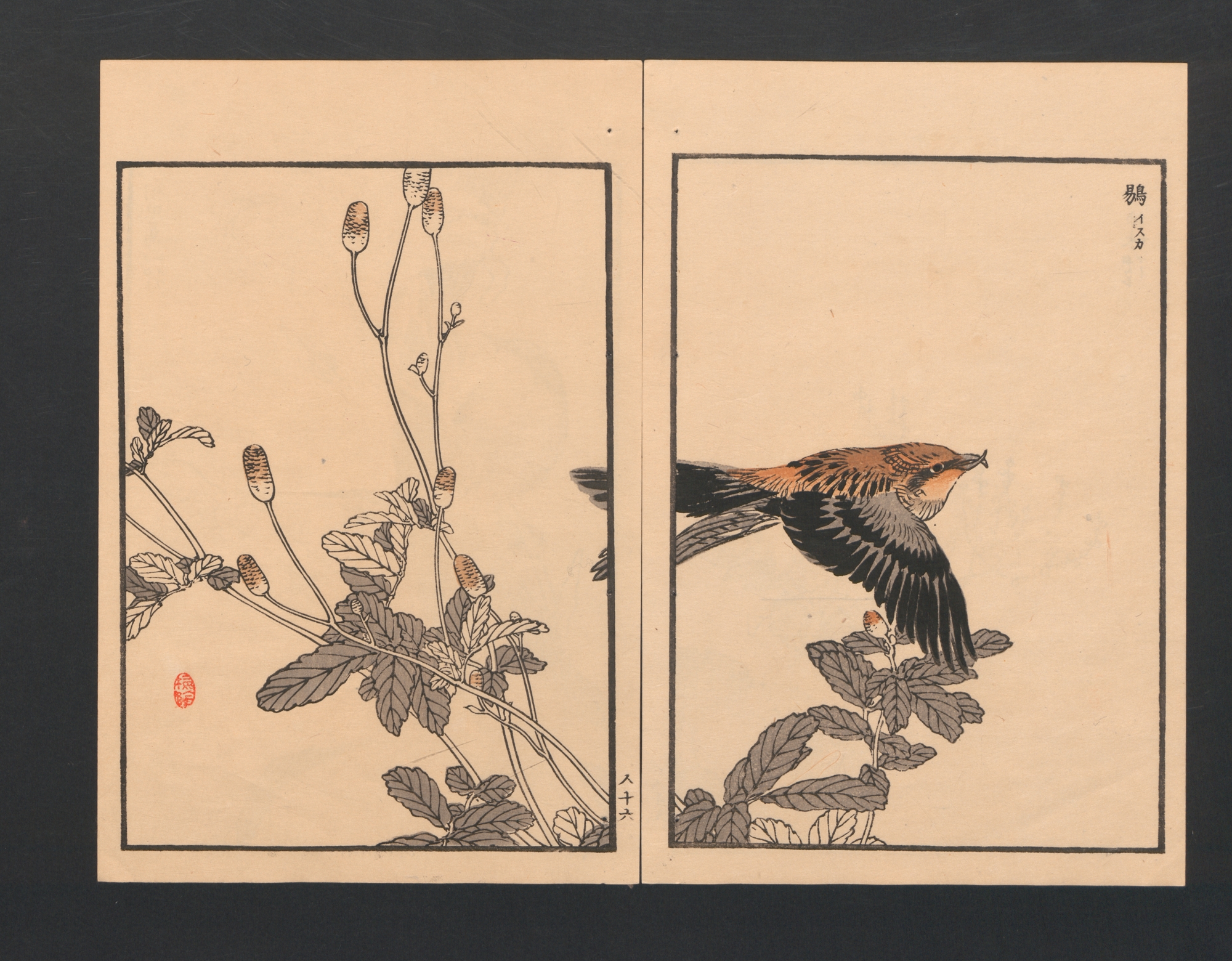 Kōno Bairei 幸野楳嶺 | Bairei Picture Album of One Hundred Birds 