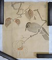 Japanese Drawing, On paper, Japan