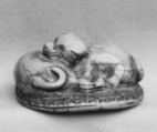 Netsuke of Two Dogs, Ivory, Japan