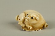 Netsuke of Dog, Ivory, Japan