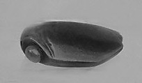 Cicada, Jade (nephrite), China