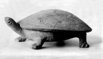 Box in the shape of a tortoise, Earthenware, China