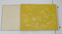 Poem on Strolling in the Moonlight, Wen Zhengming (Chinese, 1470–1559), Album of thirty-two pages; ink on paper, China