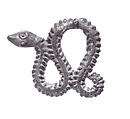 Plaque in the Form of a Serpent, Bronze, China