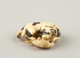 Netsuke of a Dog and a Fish, Ivory, horn, Japan