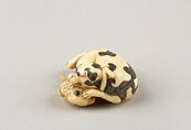 Netsuke of a Dog and a Fish, Ivory, horn, Japan