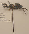 Hat, (a) silk, feathers, glass, metal, stone
(b, c) metal, feathers, paint, glass
(d–f) paper, silk, China