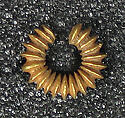 One of a Set of Four Earrings, Gold, Indonesia (Central Java)