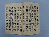Manuscript in Seal Script, Xie Zhiliu (Chinese, 1910–1997), Booklet; ink on paper, China