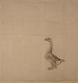Goose, Xie Zhiliu Chinese, Drawing; ink on transparent paper, China