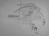 Bird, Xie Zhiliu Chinese, Drawing; ink on paper, China