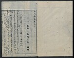 Chats on Novelties of Foreign Lands (Kōmōzatsuwa 紅毛雑話), Five volumes of woodblock printed books; ink on paper, Japan