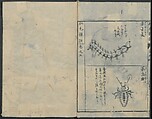 Chats on Novelties of Foreign Lands (Kōmōzatsuwa 紅毛雑話), Five volumes of woodblock printed books; ink on paper, Japan