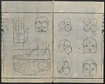 Chats on Novelties of Foreign Lands (Kōmōzatsuwa 紅毛雑話), Five volumes of woodblock printed books; ink on paper, Japan