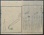 Chats on Novelties of Foreign Lands (Kōmōzatsuwa 紅毛雑話), Five volumes of woodblock printed books; ink on paper, Japan