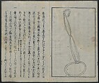Memoirs of a Castaway (Hyōryūki) 流記, Hamada Hikozō  浜田彦蔵 (1837–1897) (Joseph Heco), Two volumes of woodblock printed books; ink on paper, Japan