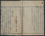 Chats on Novelties of Foreign Lands (Kōmōzatsuwa) 紅毛雑話, Shiba Kōkan 司馬江漢 (Japanese, 1747–1818), Five volumes of woodblock printed books bound as one; ink on paper,, Japan