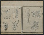 Chats on Novelties of Foreign Lands (Kōmōzatsuwa) 紅毛雑話, Shiba Kōkan 司馬江漢 (Japanese, 1747–1818), Five volumes of woodblock printed books bound as one; ink on paper,, Japan