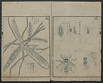 Chats on Novelties of Foreign Lands (Kōmōzatsuwa) 紅毛雑話, Shiba Kōkan 司馬江漢 (Japanese, 1747–1818), Five volumes of woodblock printed books bound as one; ink on paper,, Japan