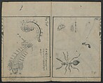 Chats on Novelties of Foreign Lands (Kōmōzatsuwa) 紅毛雑話, Shiba Kōkan 司馬江漢 (Japanese, 1747–1818), Five volumes of woodblock printed books bound as one; ink on paper,, Japan