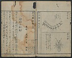 Chats on Novelties of Foreign Lands (Kōmōzatsuwa) 紅毛雑話, Shiba Kōkan 司馬江漢 (Japanese, 1747–1818), Five volumes of woodblock printed books bound as one; ink on paper,, Japan