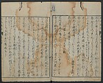 Chats on Novelties of Foreign Lands (Kōmōzatsuwa) 紅毛雑話, Shiba Kōkan 司馬江漢 (Japanese, 1747–1818), Five volumes of woodblock printed books bound as one; ink on paper,, Japan