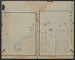 Chats on Novelties of Foreign Lands (Kōmōzatsuwa) 紅毛雑話, Shiba Kōkan 司馬江漢 (Japanese, 1747–1818), Five volumes of woodblock printed books bound as one; ink on paper,, Japan