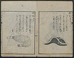 Chats on Novelties of Foreign Lands (Kōmōzatsuwa) 紅毛雑話, Shiba Kōkan 司馬江漢 (Japanese, 1747–1818), Five volumes of woodblock printed books bound as one; ink on paper,, Japan