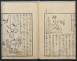 A Diary of Travel from Edo to Nagasaki (Seiyūryōdan), Shiba Kōkan (Japanese, 1747–1818), Five volumes of woodblock printed books; ink on paper, Japan
